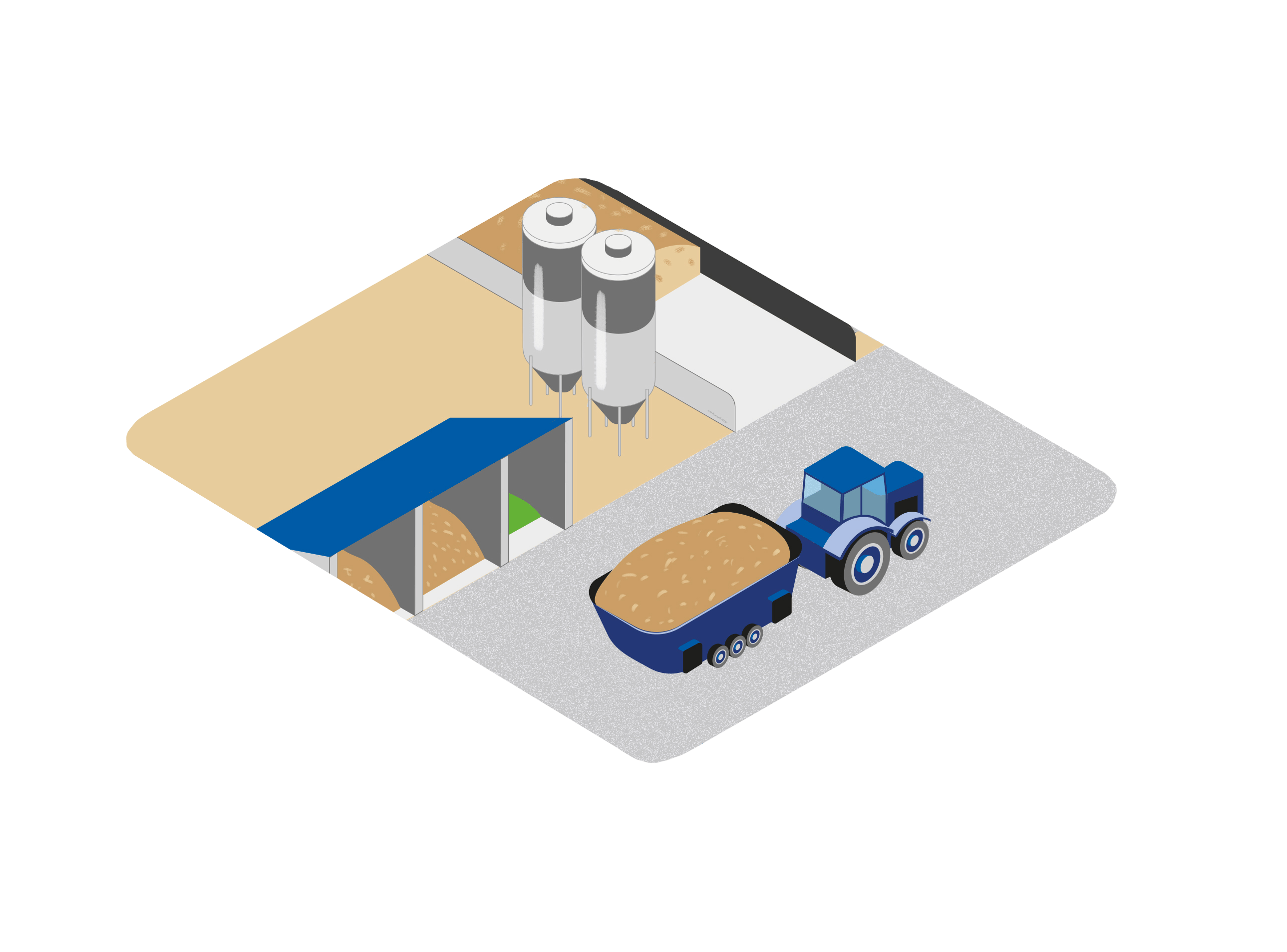 Ration for dairy cows with tractor